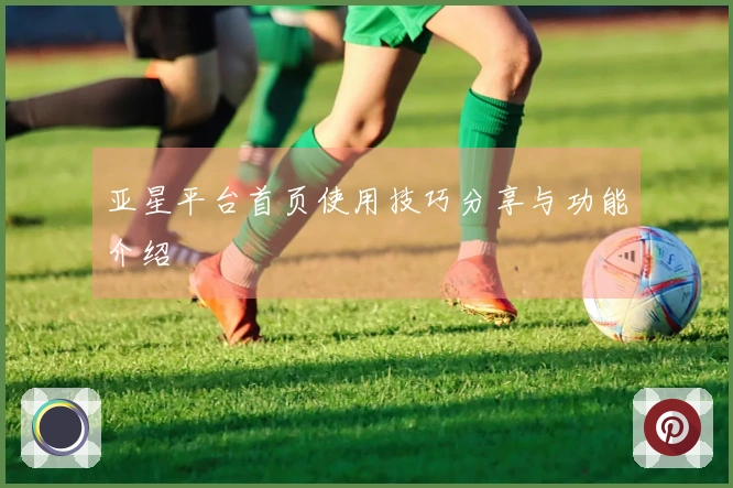 亚星平台首页使用技巧分享与功能介绍