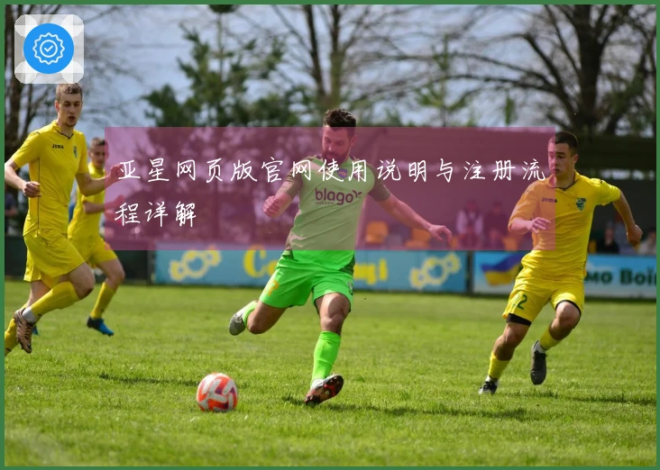 亚星网页版官网使用说明与注册流程详解